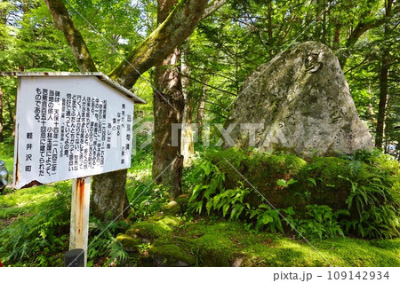軽井沢 109142934