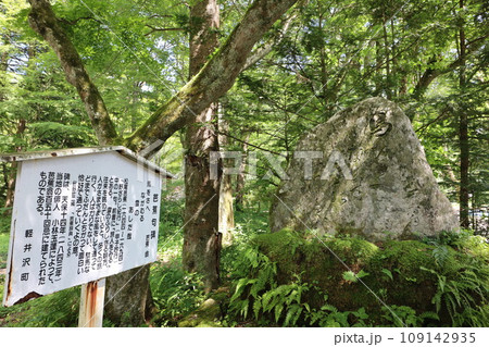 軽井沢 109142935