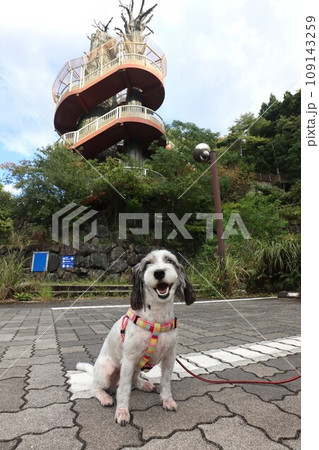 川上村 川上村 109143259