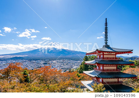 新倉山浅間公園　雄大な富士山と朱塗りの五重塔　桜の紅葉　秋 109143596