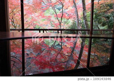 染色アートと紅葉の嵐山祐斎亭 109143846