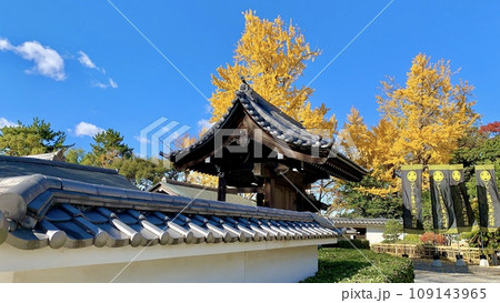 秋晴れの青空と黄金色の銀杏に彩られた岡崎城二の丸能楽堂〈岡崎公園/愛知県岡崎市〉 秋晴れの青空と黄金色の銀杏に彩られた岡崎城二の丸能楽堂〈岡崎公園/愛知県岡崎市〉 109143965