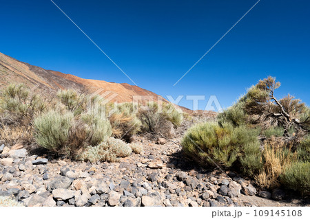 landscape of the Teide volcano landscape of the Teide volcano 109145108
