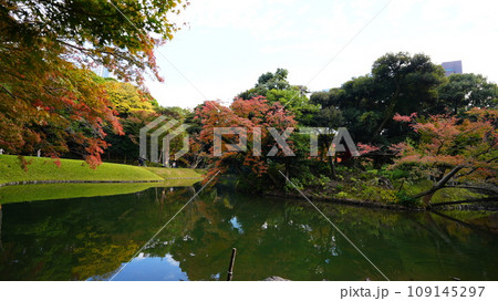 紅葉した木々と池 109145297