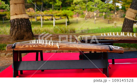 小石川後楽園で演奏された箏の響き 109145528