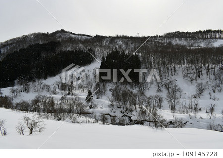 穏やかな天気の下の静かで寒い米沢の冬の風景 109145728