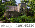 Castle Bolczow in Poland 109145830