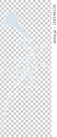 Line drawing illustration of iron lily 109146139