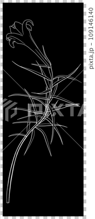 Line drawing illustration of iron lily 109146140