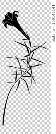 鉄炮百合の線画イラスト 109146141
