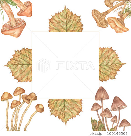 watercolor frame with autumn elements on a white background. Forest background with drawings of mushrooms, acorns and leaves. Suitable for decorating greeting cards, invitations. watercolor frame with autumn elements on a white background. Forest background with drawings of mushrooms, acorns and leaves. Suitable for decorating greeting cards, invitations. 109146505