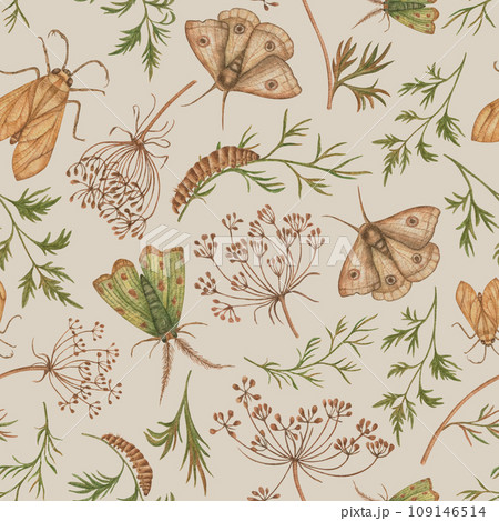 Watercolor pattern with flowers, butterflies, beetles. Autumn trendy print. Nature floral background. Hand drawn vintage botanical for decoration banner, print, decor, interior design, textile. Watercolor pattern with flowers, butterflies, beetles. Autumn trendy print. Nature floral background. Hand drawn vintage botanical for decoration banner, print, decor, interior design, textile. 109146514