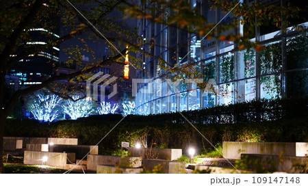 青いイルミネーションと東京タワー 109147148