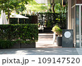 アイコン 109147520