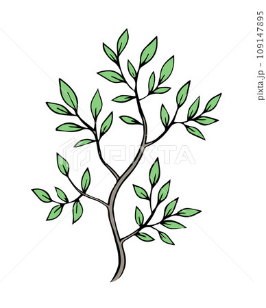 Tree with green foliage Tree with green foliage 109147895