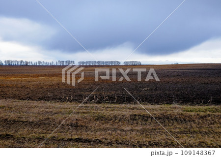 The image shows a vast, barren field with a line of trees in the background under a cloudy sky. The colors are muted, creating a somber mood. The image shows a vast, barren field with a line of trees in the background under a cloudy sky. The colors are muted, creating a somber mood. 109148367