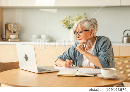 Online education courses webinar concept. Middle aged senior woman using laptop computer writing notes. Focused mature old woman enjoying studying online from home written records doing online work 109148673