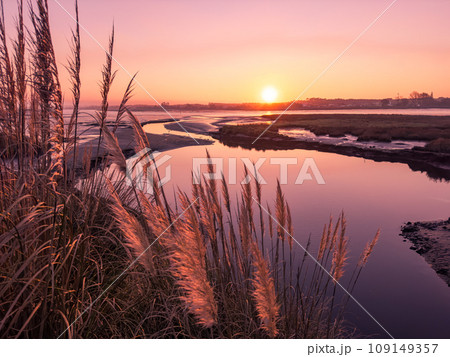 Sunset on Ria de Aveiro 109149357