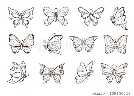 Linear patterned butterflies. Flying insects. Decorative creations. Hand drawn black contours. Simple organic shapes. Tropical bugs. Outline animals. Delicate wings. Splendid vector set 109150312