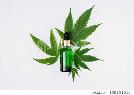 Cannabis oil and hemp leaf on white background, flat lay. Hemp CBD oil for skin care. Cannabis oil and hemp leaf on white background, flat lay. Hemp CBD oil for skin care. 109151016