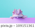 Funny purple chameleon on a blue and purple background. Banner with chameleon and free space. 109151361