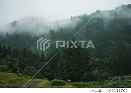 朝霧 109151706