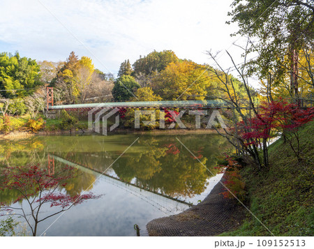 湖に架かる吊り橋と紅葉の風景 湖に架かる吊り橋と紅葉の風景 109152513