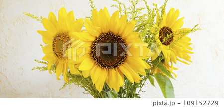 Close-up of three sunflowers on a light background. Floral design for home decor. Close-up of three sunflowers on a light background. Floral design for home decor. 109152729