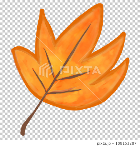 autumn leaf of tree isolated on white autumn leaf of tree isolated on white 109153287