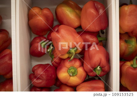 Red pepper in a box. Peppers on the market. Fresh vegetables. 109153525