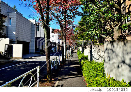 駒場東大前駅周辺住宅街　紅葉したハナミズキの並木道 109154056