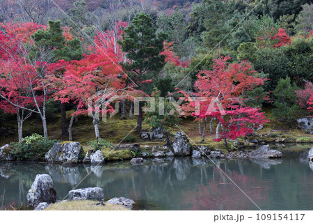 紅葉見頃の天竜寺の庭園 109154117