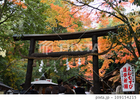 京都 竹林と野宮神社 京都 竹林と野宮神社 109154215