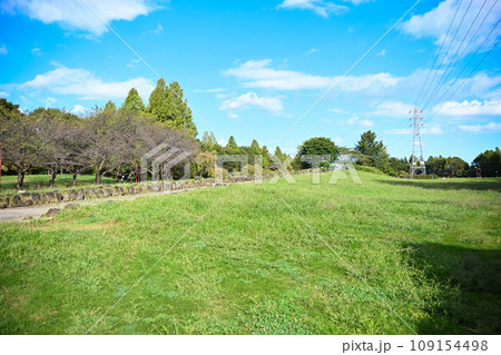 初秋　親水広場付近の風景　大宮花の丘農林公苑　 109154498