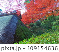 紅葉 109154636