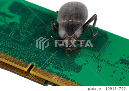 Bug on PC memory circuit board. Computer error concept. Bug on PC memory circuit board. Computer error concept. 109154796