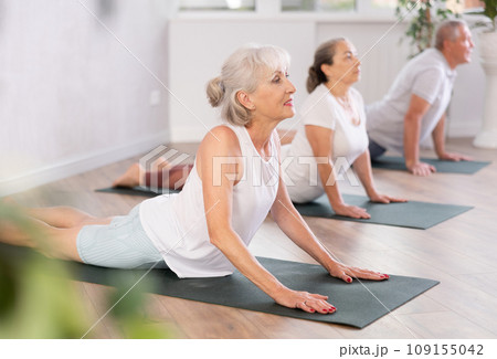 Group of elderly people doing yoga on mat in studio Group of elderly people doing yoga on mat in studio 109155042
