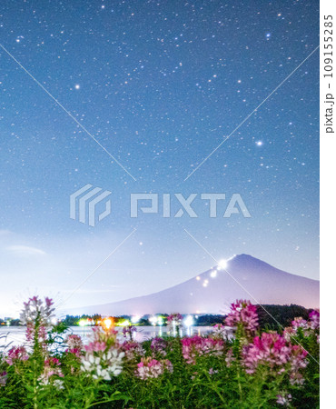 クレオメの花咲く大石公園から望む星空と富士山 登山者の光跡 109155285