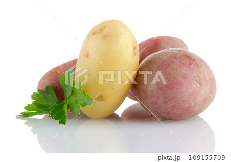 New potatoes and green parsley 109155709