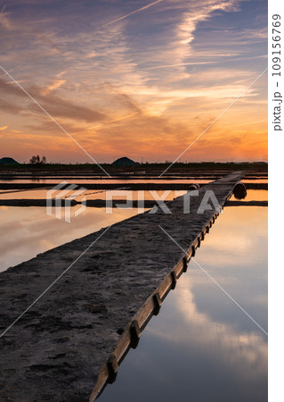 Salt flats of Aveiro at sunset 109156769