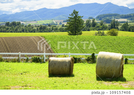 北海道 美瑛の「新栄の丘展望公園」から見える景色 109157408