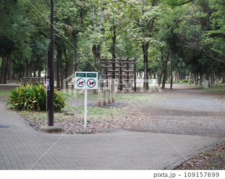 芦花公園 109157699