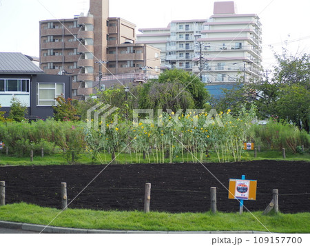 芦花公園 109157700