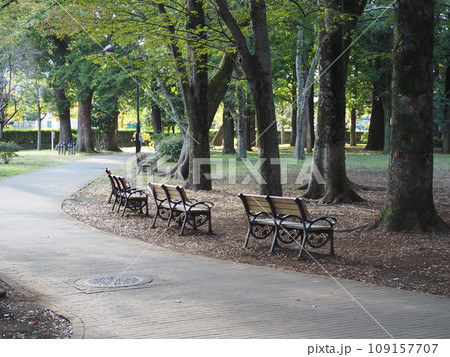 芦花公園 109157707
