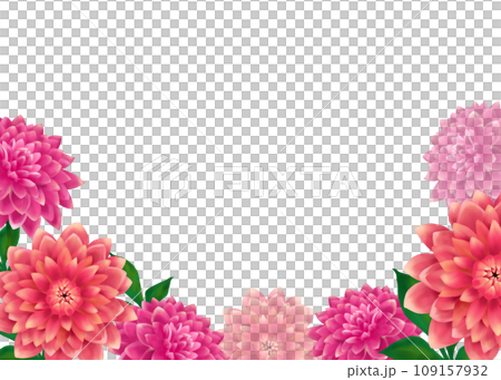 ダリアのカラフルな花のフレーム ダリアのカラフルな花のフレーム 109157932