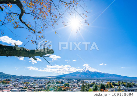 新倉山浅間公園　雄大な富士山と桜の紅葉　秋　光芒 109158694