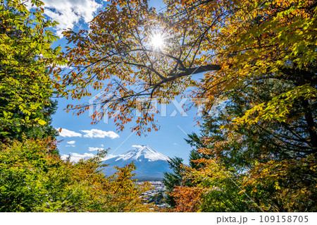 新倉山浅間公園　雄大な富士山と桜の紅葉　秋　光芒 109158705