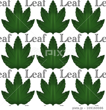 Leaf 1 109160086