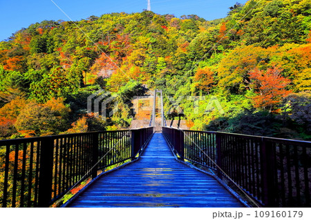 鬼怒川温泉の鬼怒楯岩大吊橋／栃木県日光市 109160179