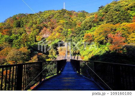 鬼怒川温泉の鬼怒楯岩大吊橋／栃木県日光市 109160180